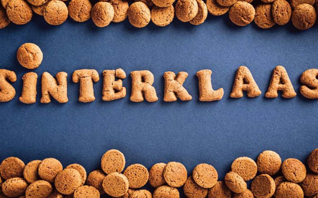 Personal Fit Club - De Personal Fit Club Sinterklaas Workout – feestelijk fit worden
